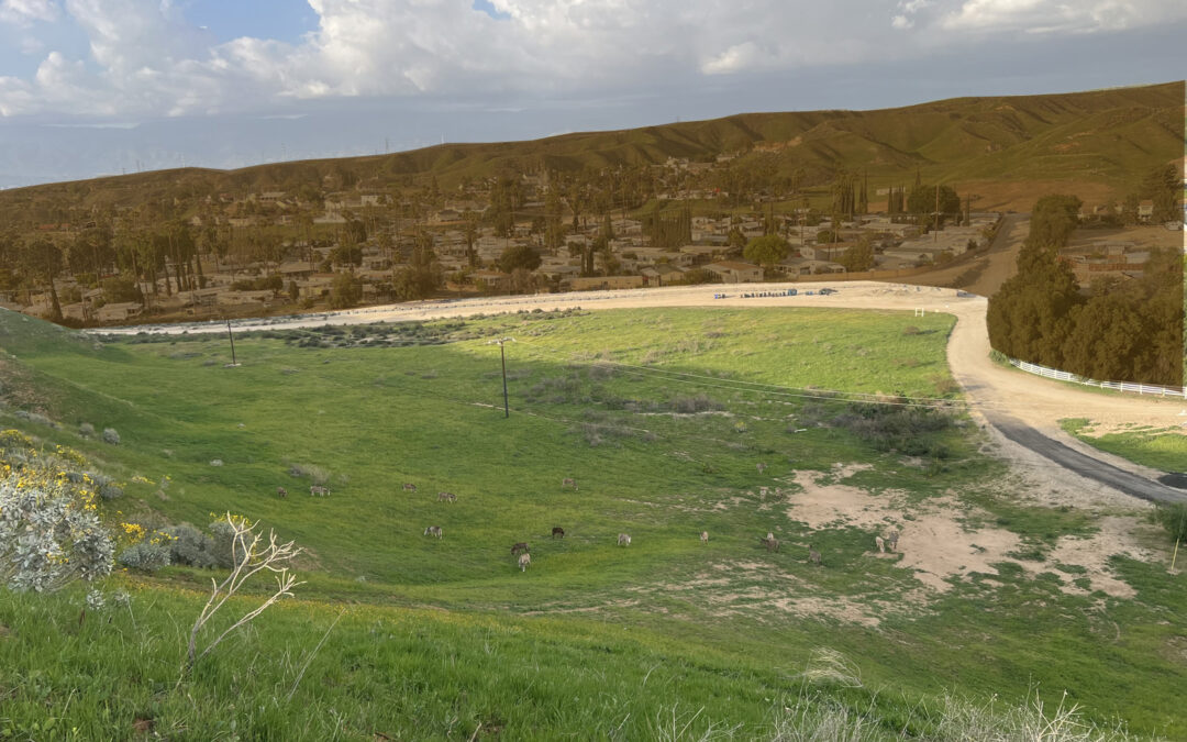 Reche Canyon Road, Colton, CA 92324