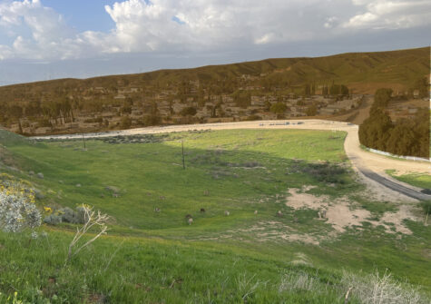 Reche Canyon Road, Colton, CA 92324
